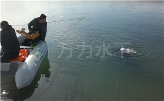 機(jī)器人水下攝像